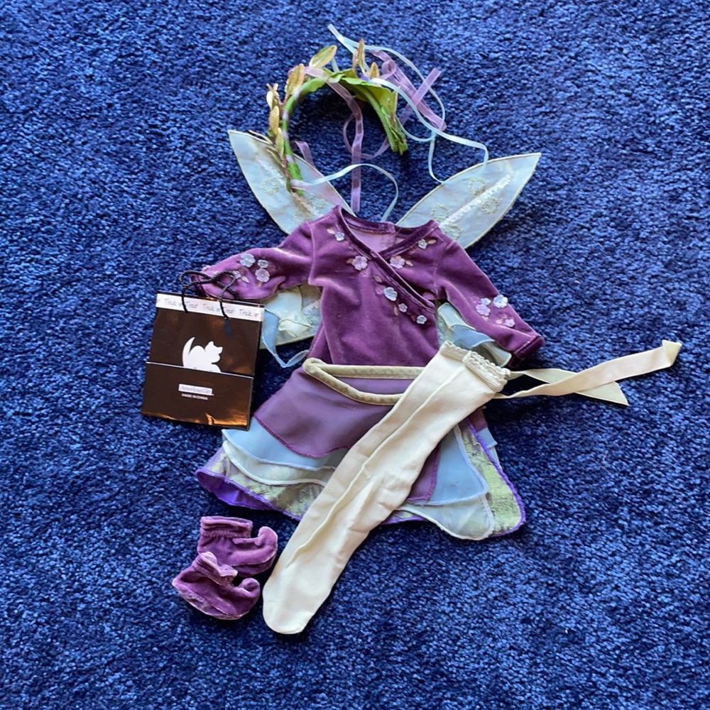American girl doll, fairy Halloween outfit